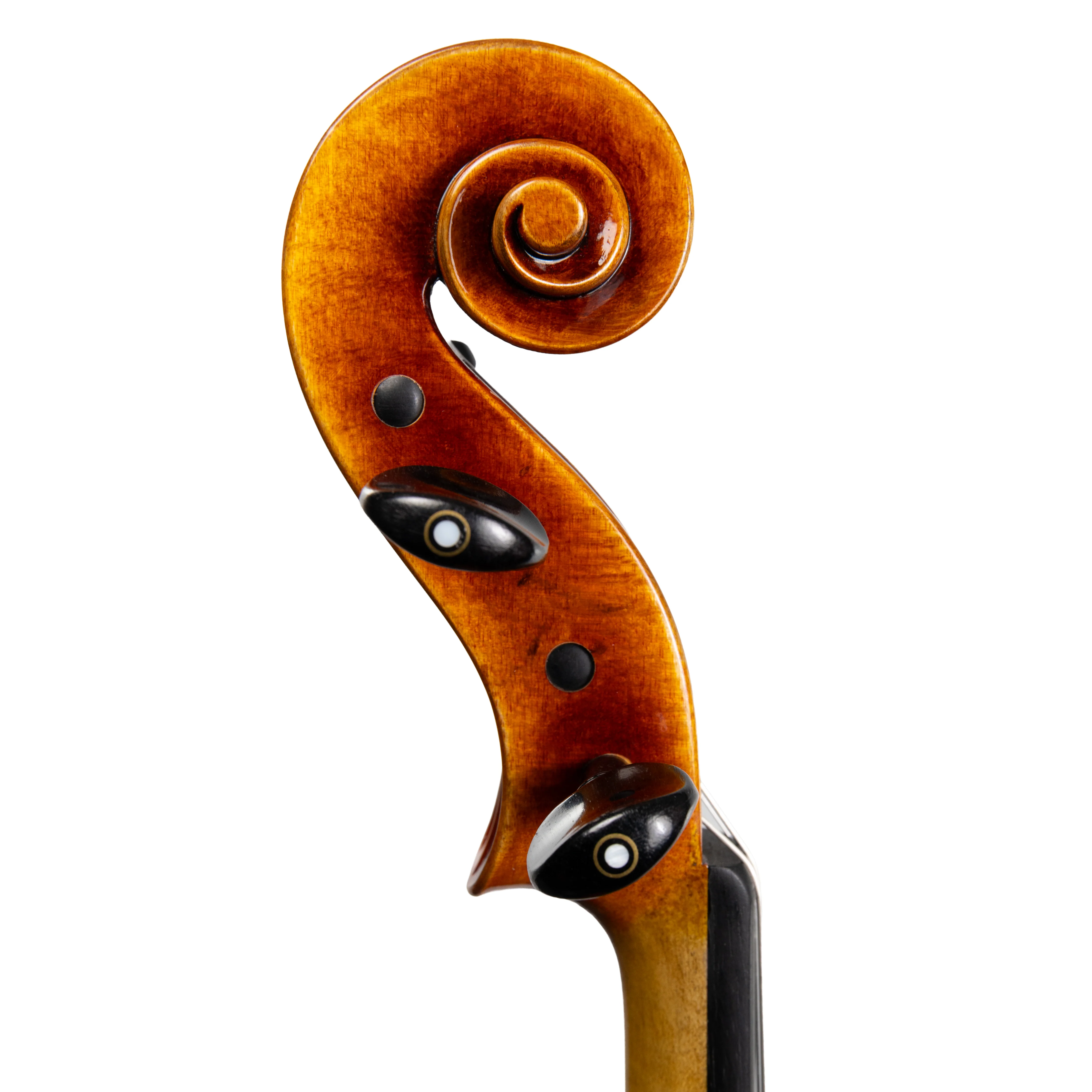 Carlo Lamberti® Tertis Viola - Image 4