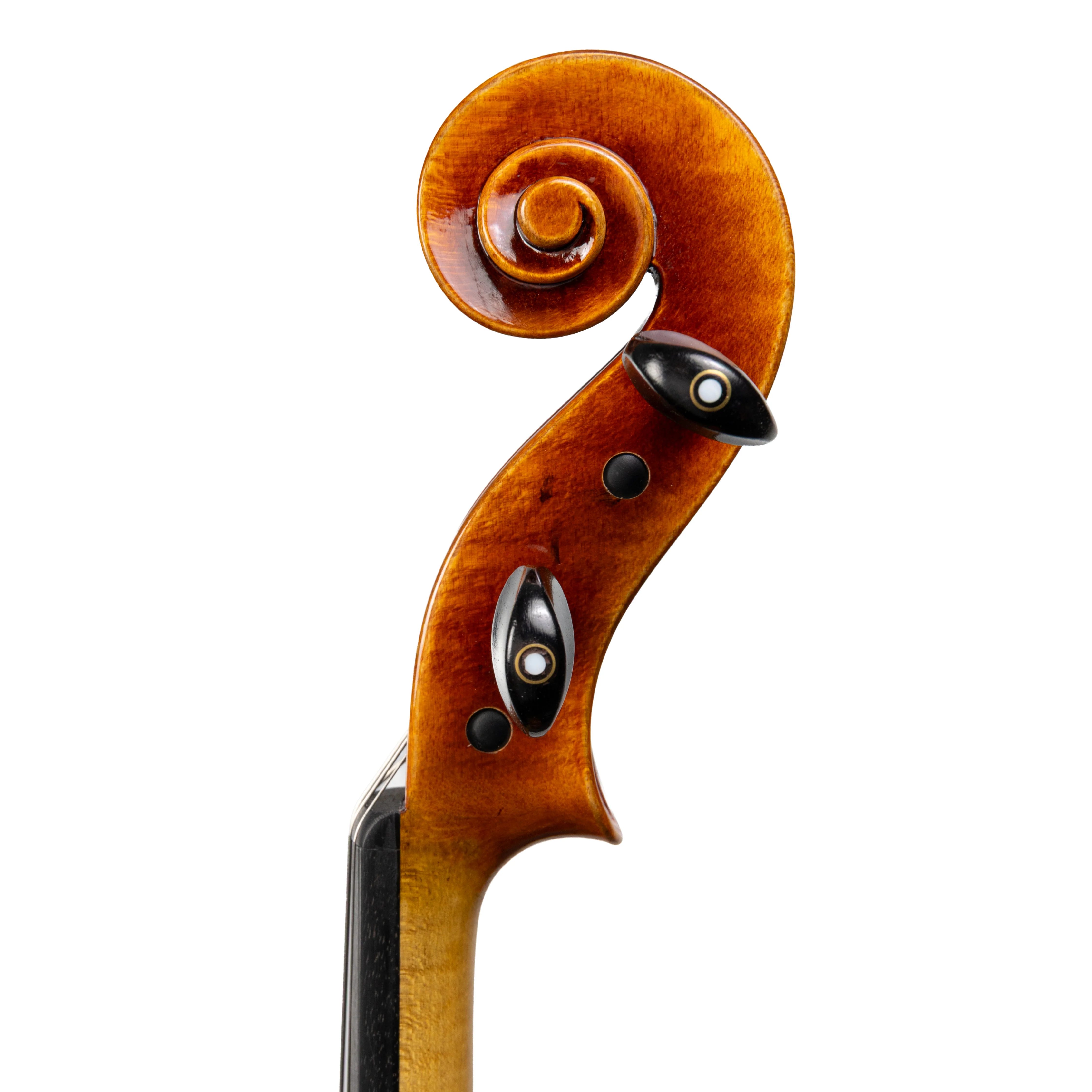 Carlo Lamberti® Tertis Viola - Image 5
