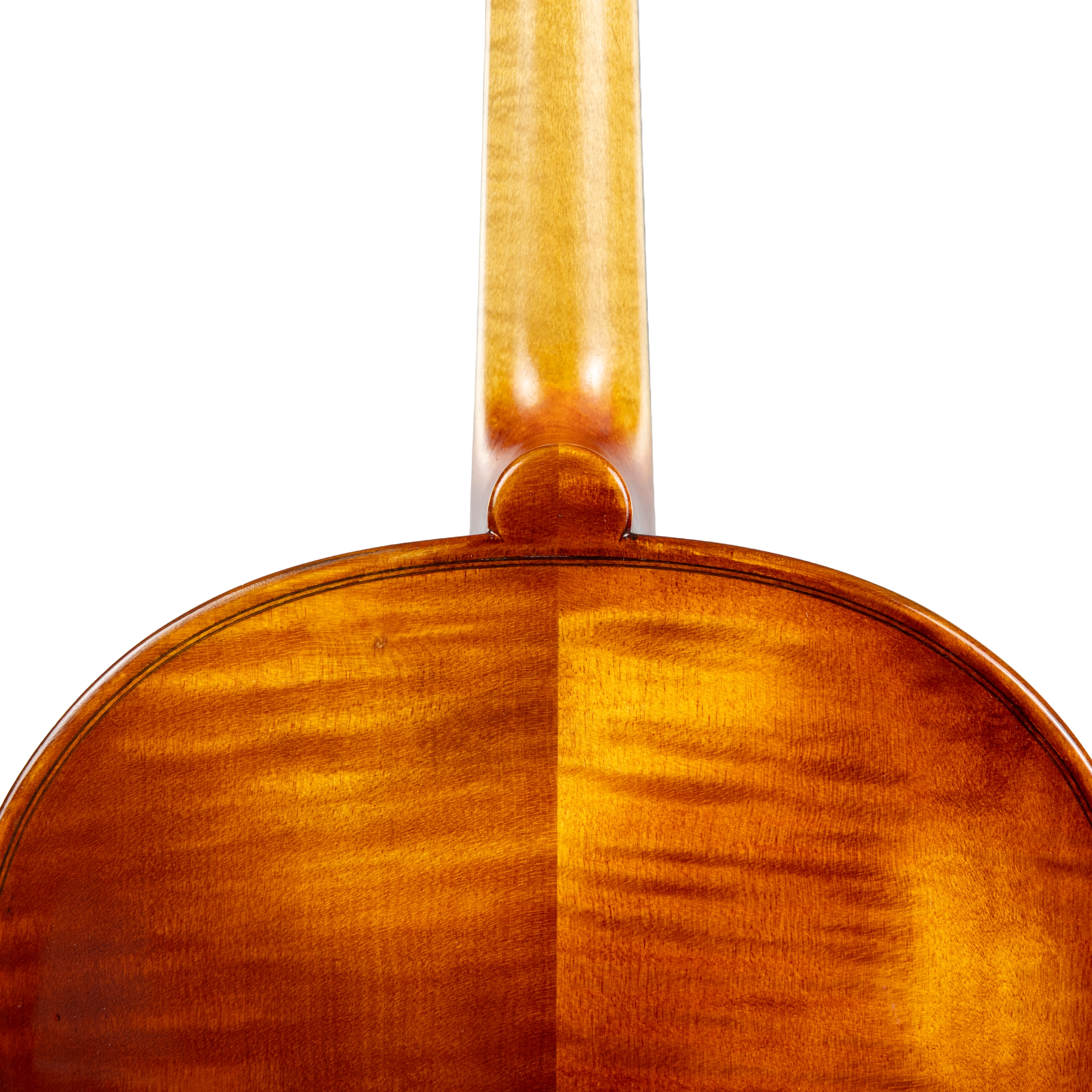 Carlo Lamberti® Tertis Viola - Image 7