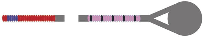 Corelli Crystal Viola C String - Image 3