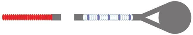Pirastro Eudoxa Viola D-String - Image 3
