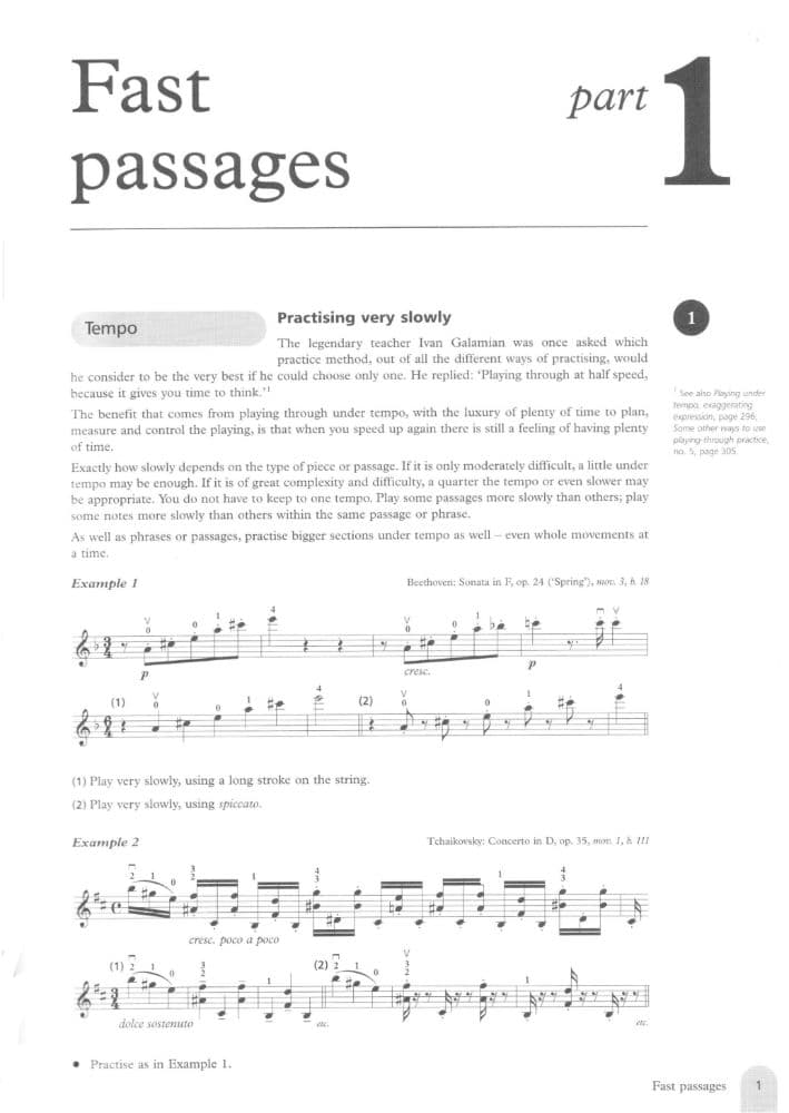 Fischer - Practice: 250 Step by Step Practice Methods for the Violin. Peters Edition. - Image 6