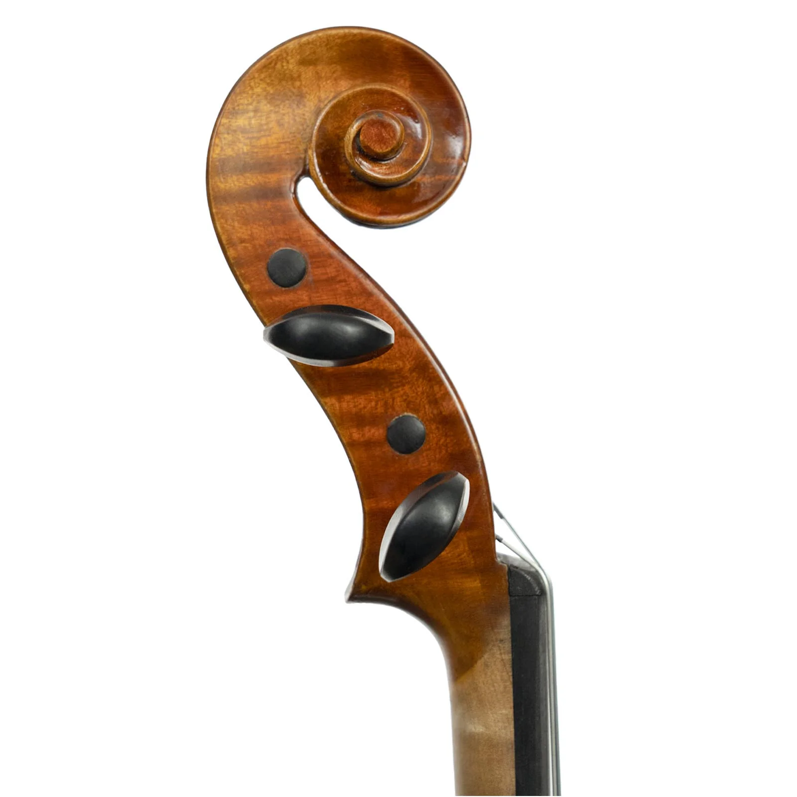 Franz Hoffmann® Concert Violin Outfit - Image 5