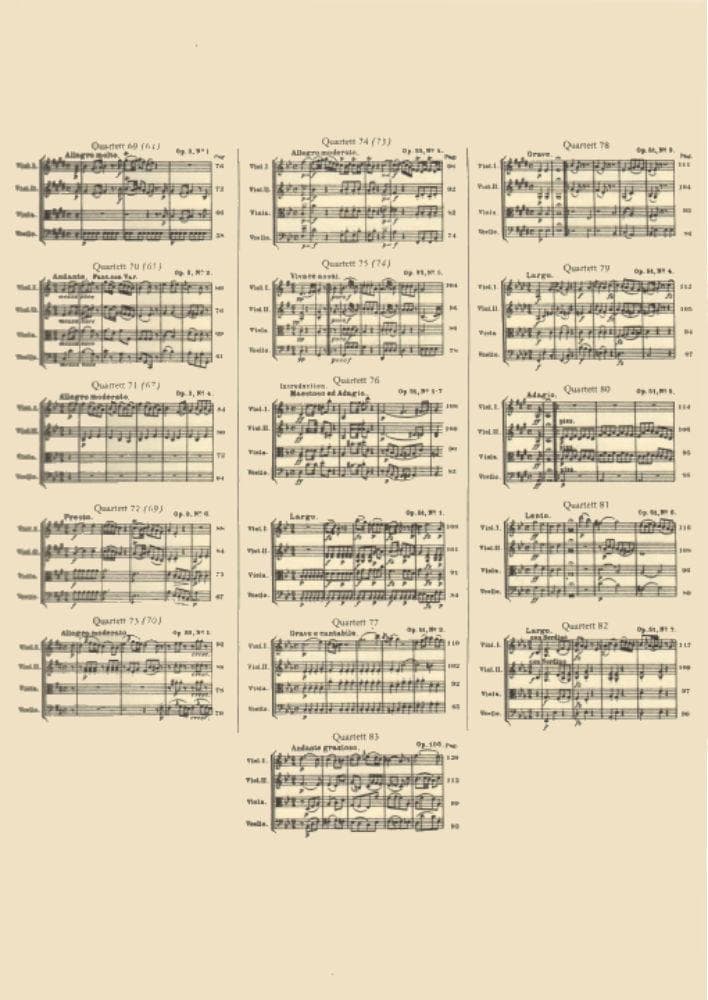Haydn, Franz Joseph - 83 Quartets, Volume 4: 33 Quartets - String Quartet - edited by Andreas Moser and Hugo Dechert - Edition Peters - Image 3