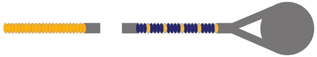 Helicore Violin D String - Image 2