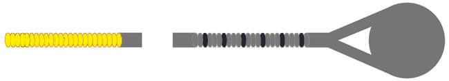 Kaplan Bass D String - Medium Gauge - 3/4 size - Image 2