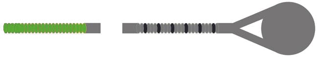 Kaplan Bass E String - Medium Gauge - 3/4 size - Image 3