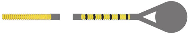 Larsen Magnacore Cello C String - Image 5