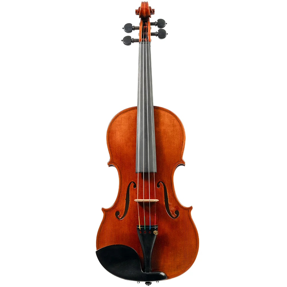 Lillo Salerno Workshop "Guarneri" Violin, 2022
