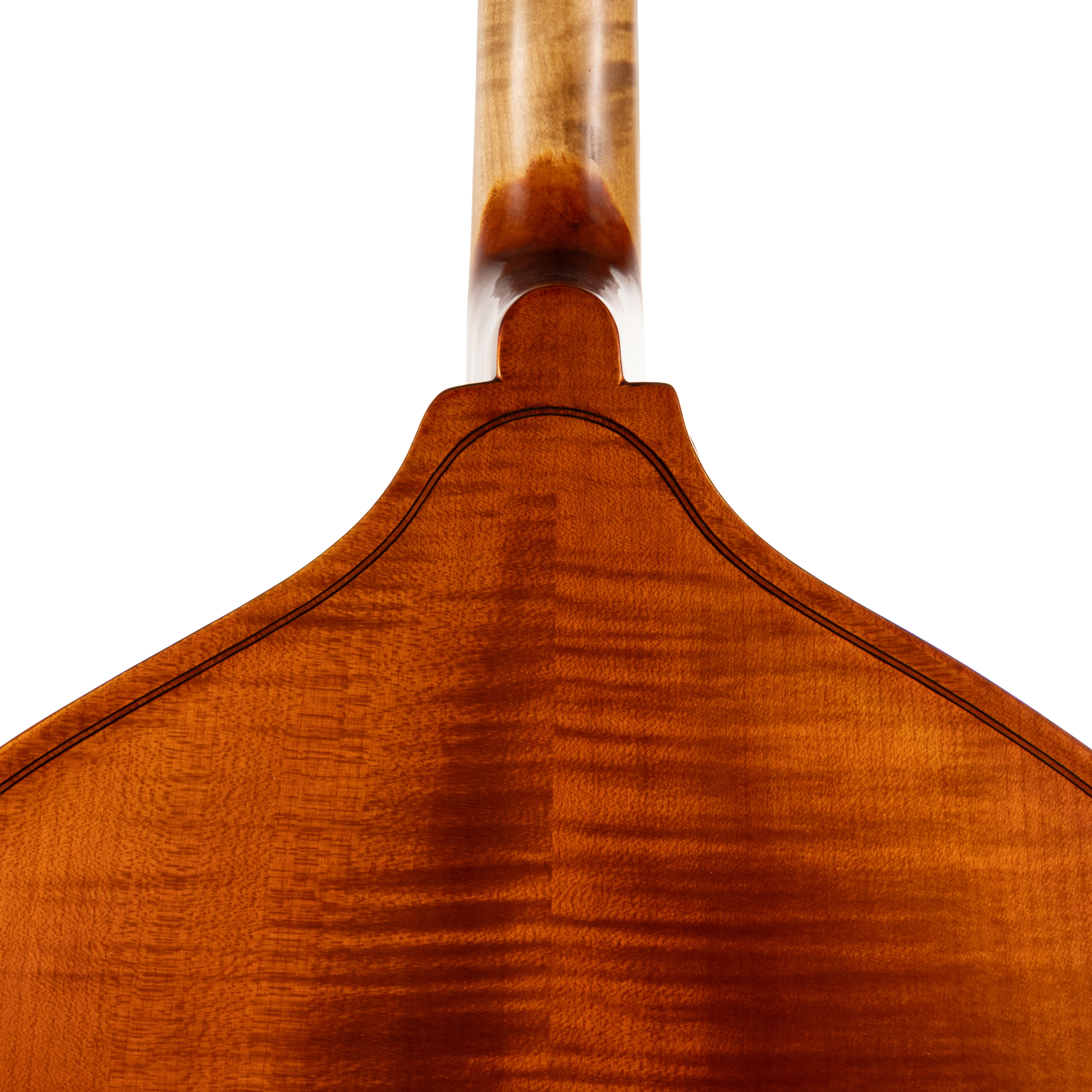 Otto Ernst Fischer® Bianca Bass - Image 7