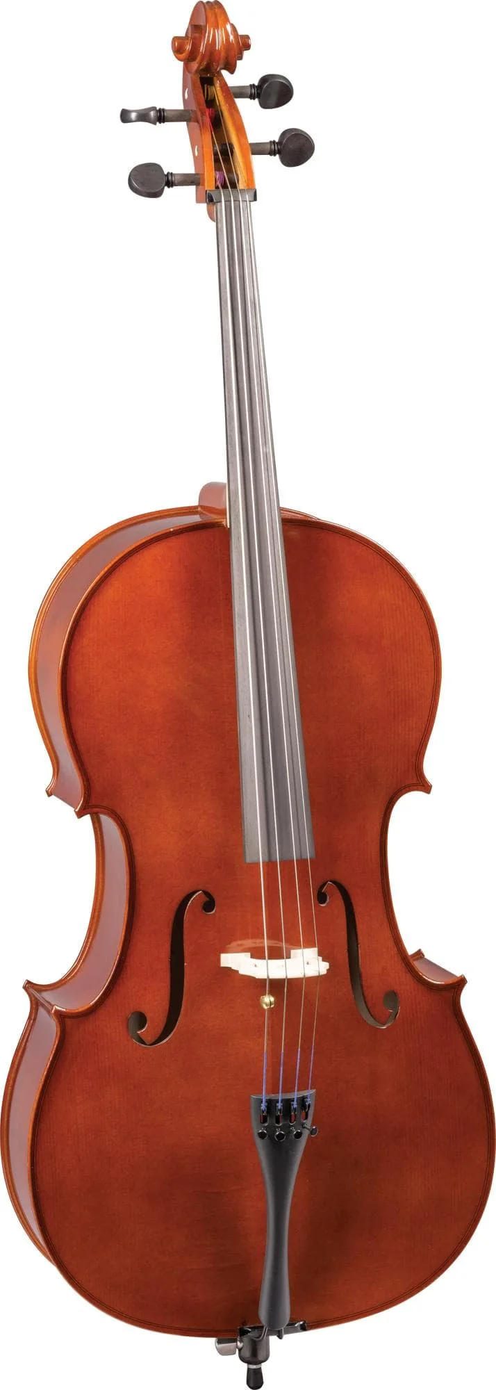 Pre-Owned Franz Hoffmann® Danube Cello - Image 3