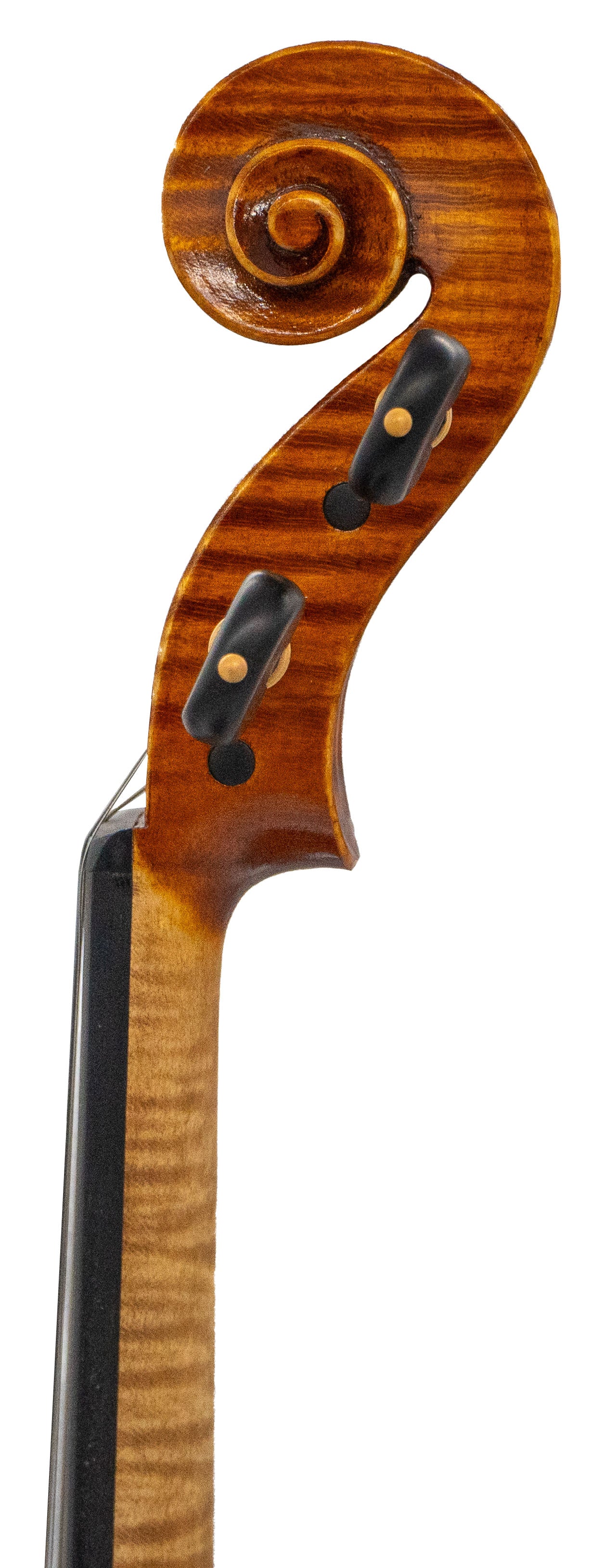 Stefano Trabucchi Violin, Cremona, 2022 - Image 4