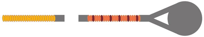 D'Addario Zyex Violin D String - Image 3